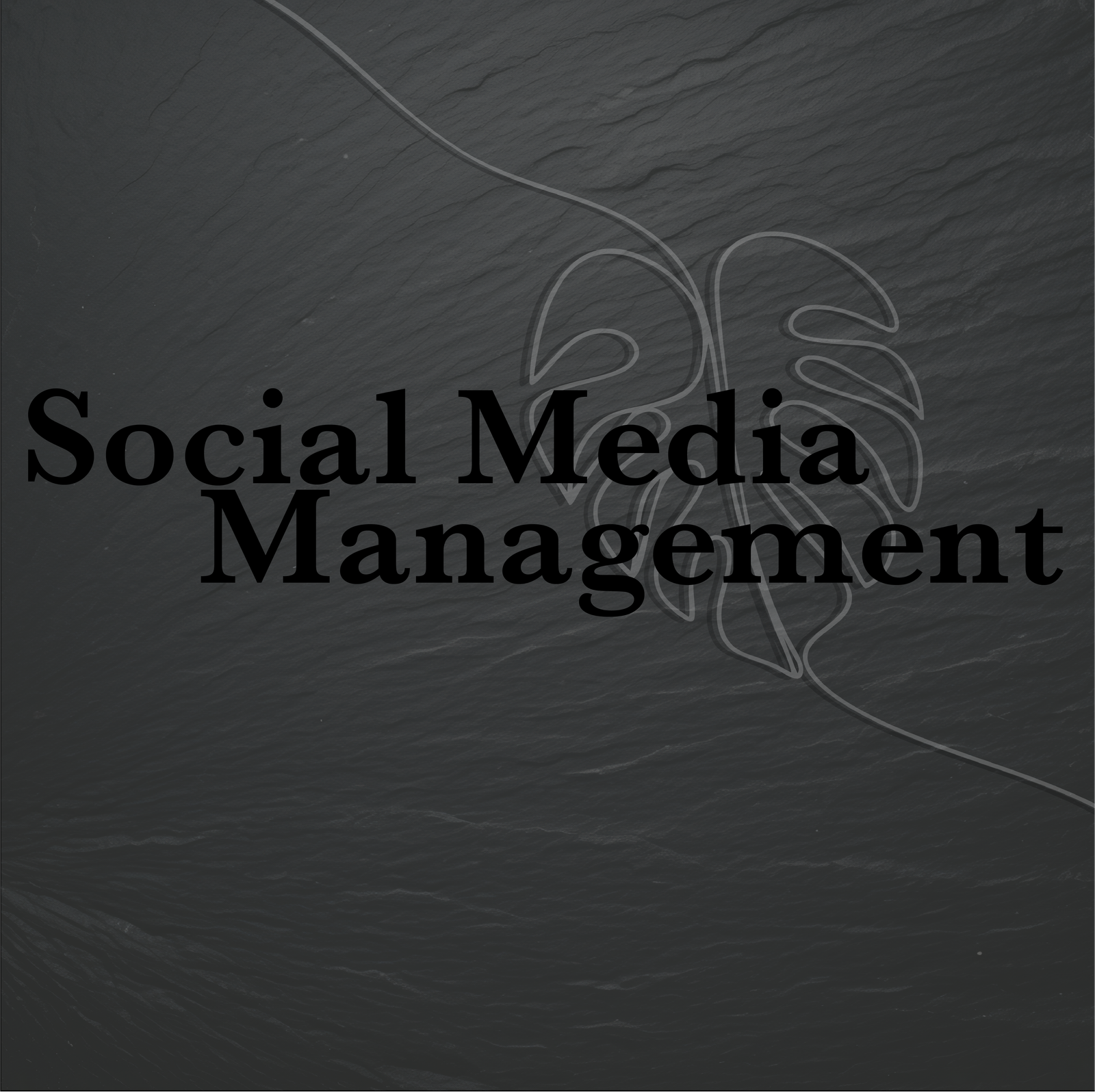 Social Media Management